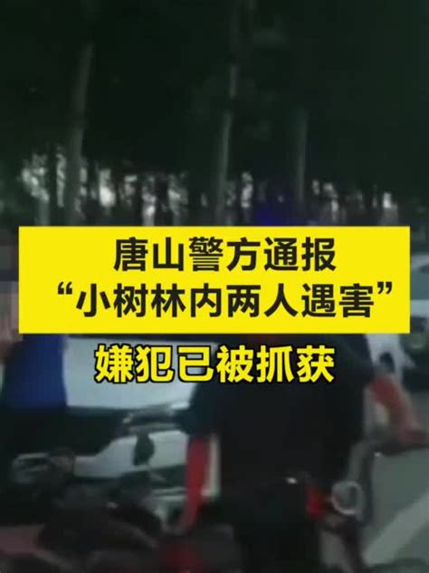 7k59_唐山2人在小树林遇害 警方通报